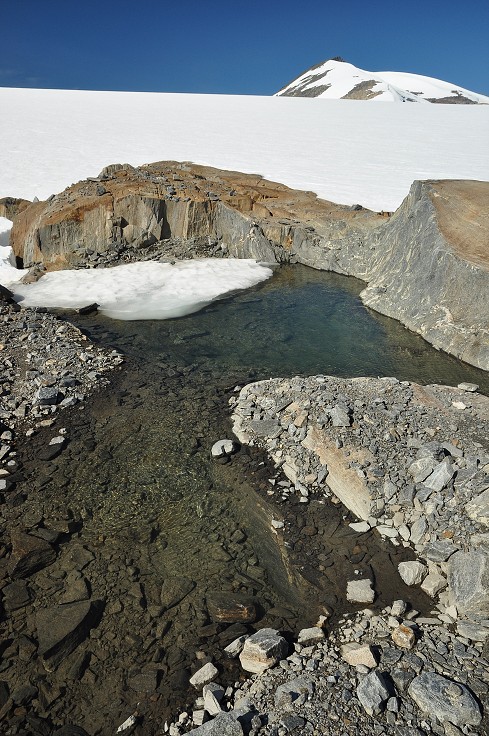 Skandinávie - ledovec Svartisen nad Storglomvatnet, Nordland