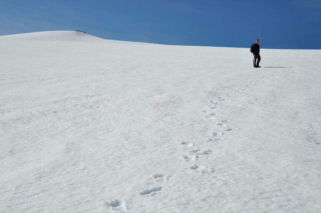 Skandinávie - ledovec Svartisen nad Storglomvatnet, Nordland