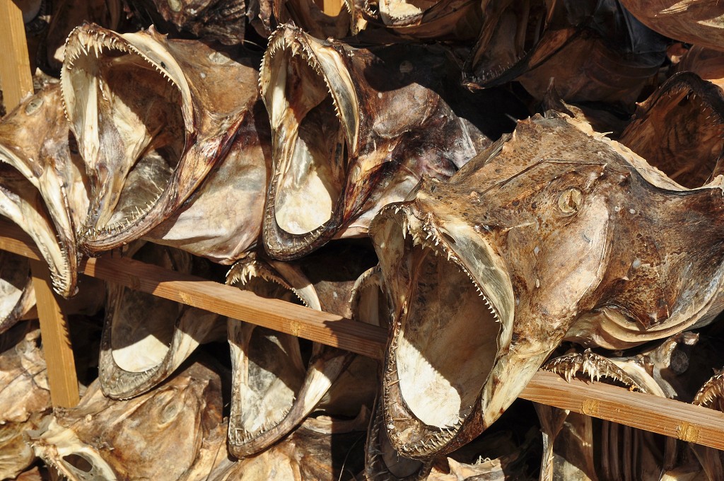 Skandinávie - Reine, ostrov Moskenesøya, Lofoty