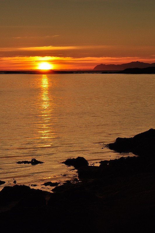 Morfjorden - Lofoty 