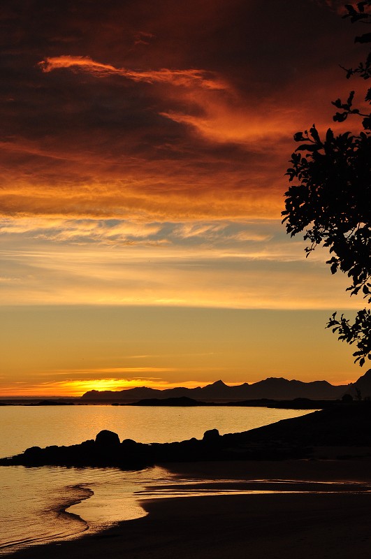Morfjorden - Lofoty 