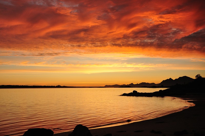 Morfjorden - Lofoty 