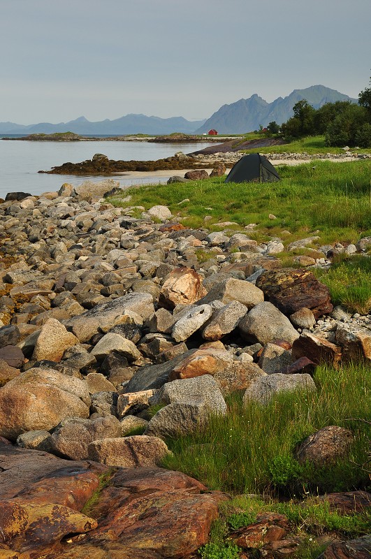 Morfjorden - Lofoty 