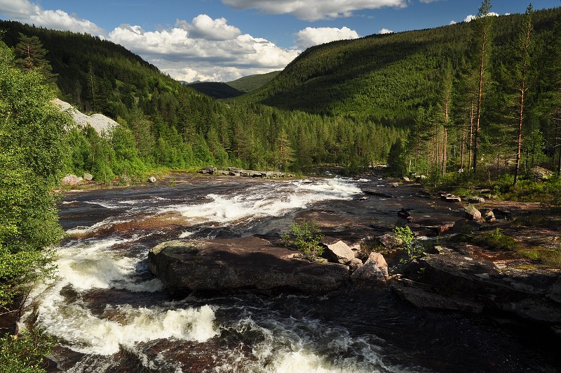 Jižní Norsko 2012 - v kopcích Gaukasfjellu, záp. od Fyresdalu 