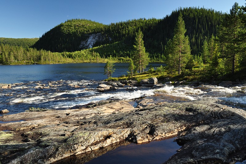Jižní Norsko 2012 - v kopcích Gaukasfjellu, záp. od Fyresdalu 
