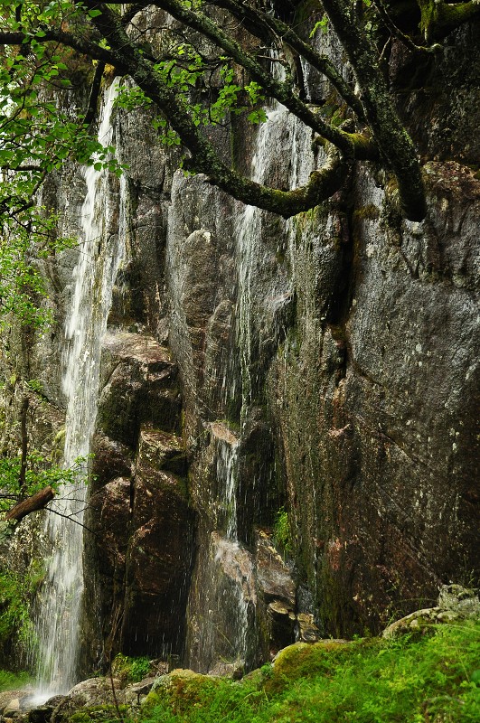 Jižní Norsko 2012 - z túry na Sollifjellet, nad Lysefjordem 