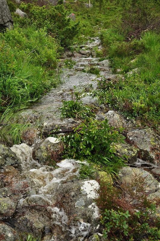 Jižní Norsko 2012 - turist. pěšina z túry na Sollifjellet 