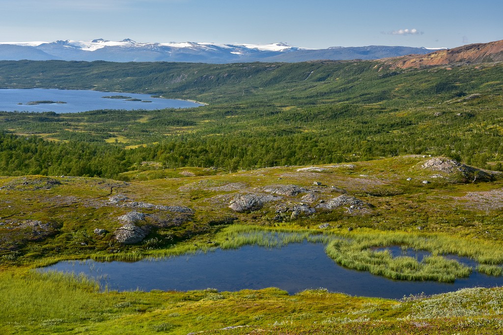 Skandinávie - v poh. Lappfjellet, nad Mo i Ranou, Norsko 