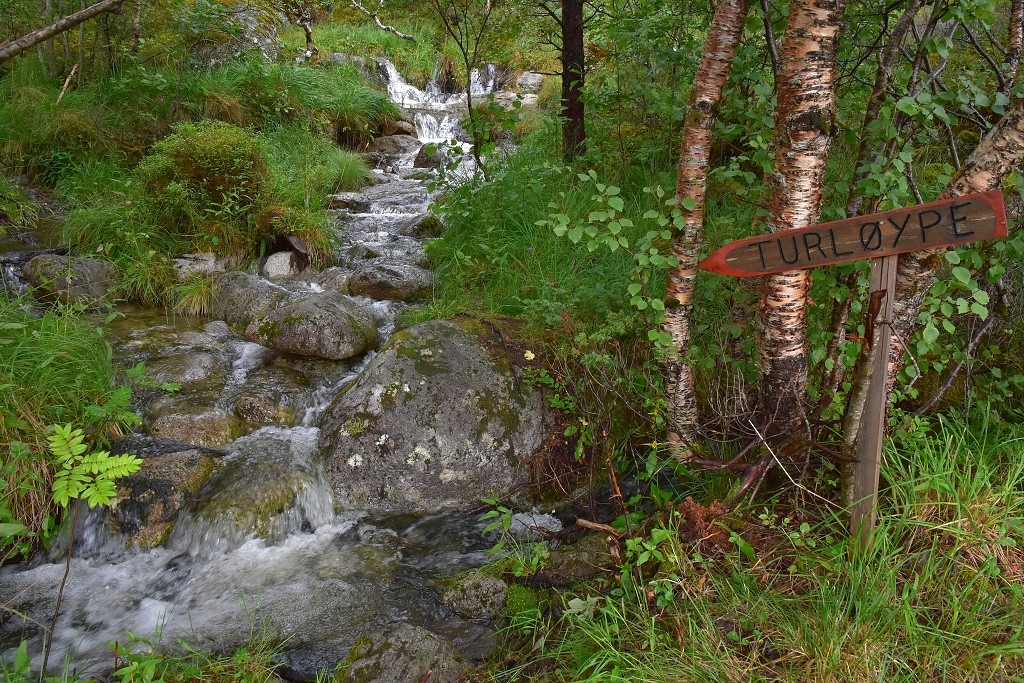 Skandinávie - stezka do hor Gullsvågfjellet, Vega 