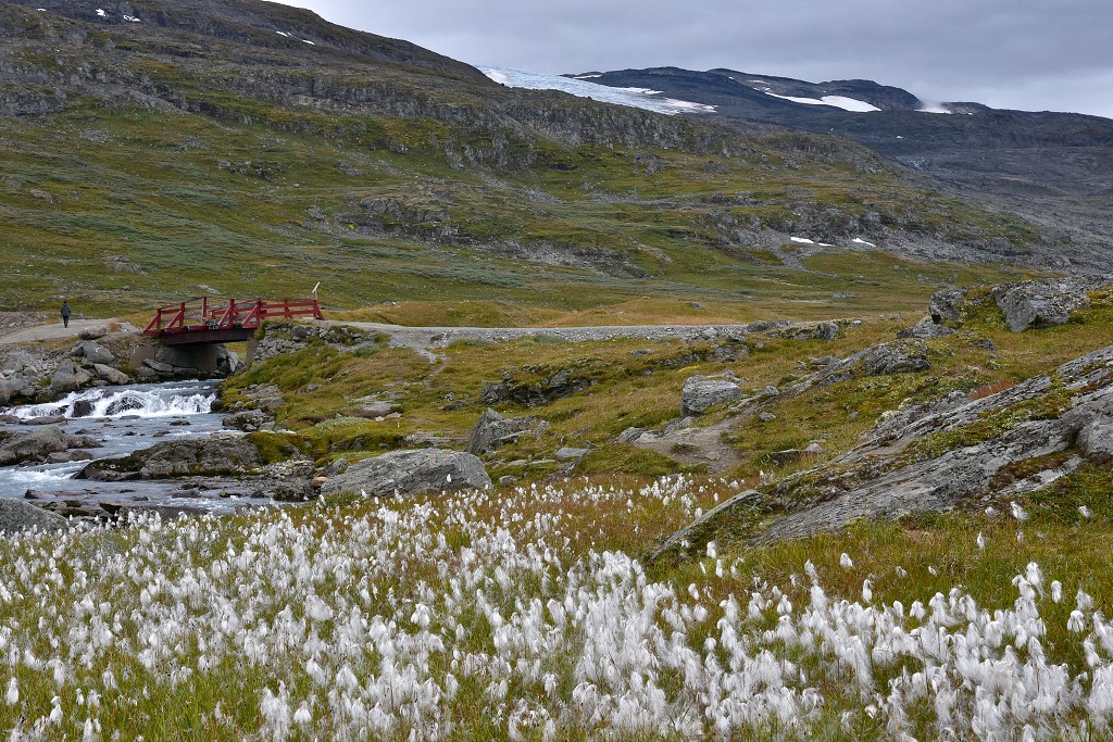 Skandinávie - R.55, poblíž ch. Krossbu, Jotunheimen 