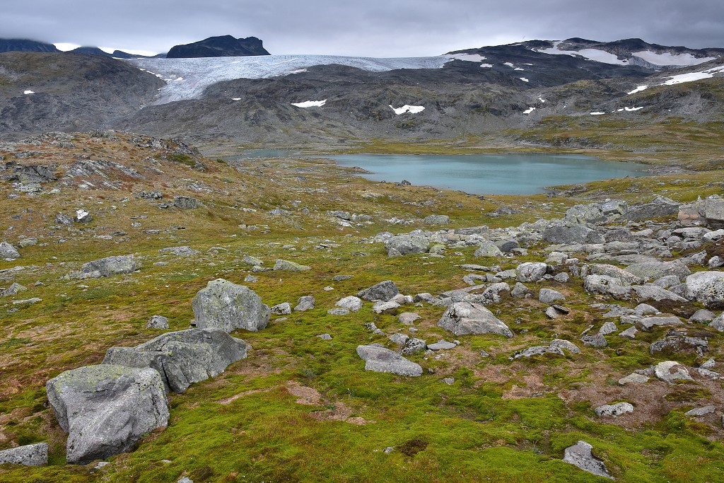 Skandinávie - poblíž Fantesteinsvatnet, Sognefjell road 