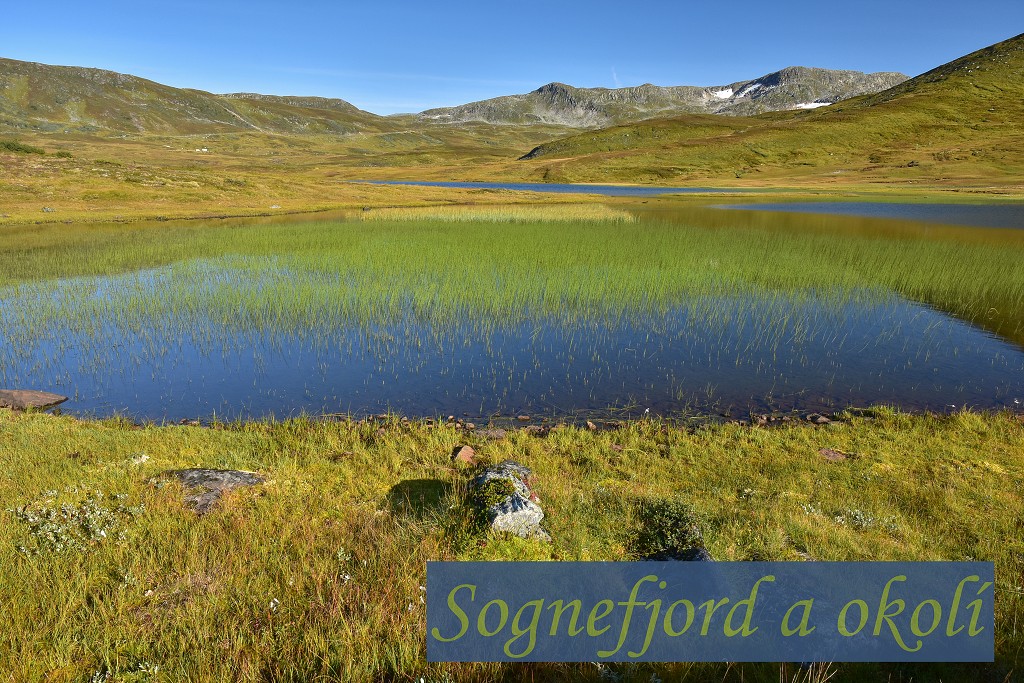 Skandinávie - Vikafjell, již. od SognefjorduVikafjell, již. od Sognefjordu 