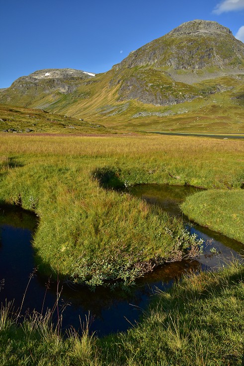 Skandinávie - Øvstedalen, již. od led. Fresvikbreen, Sognefj. 