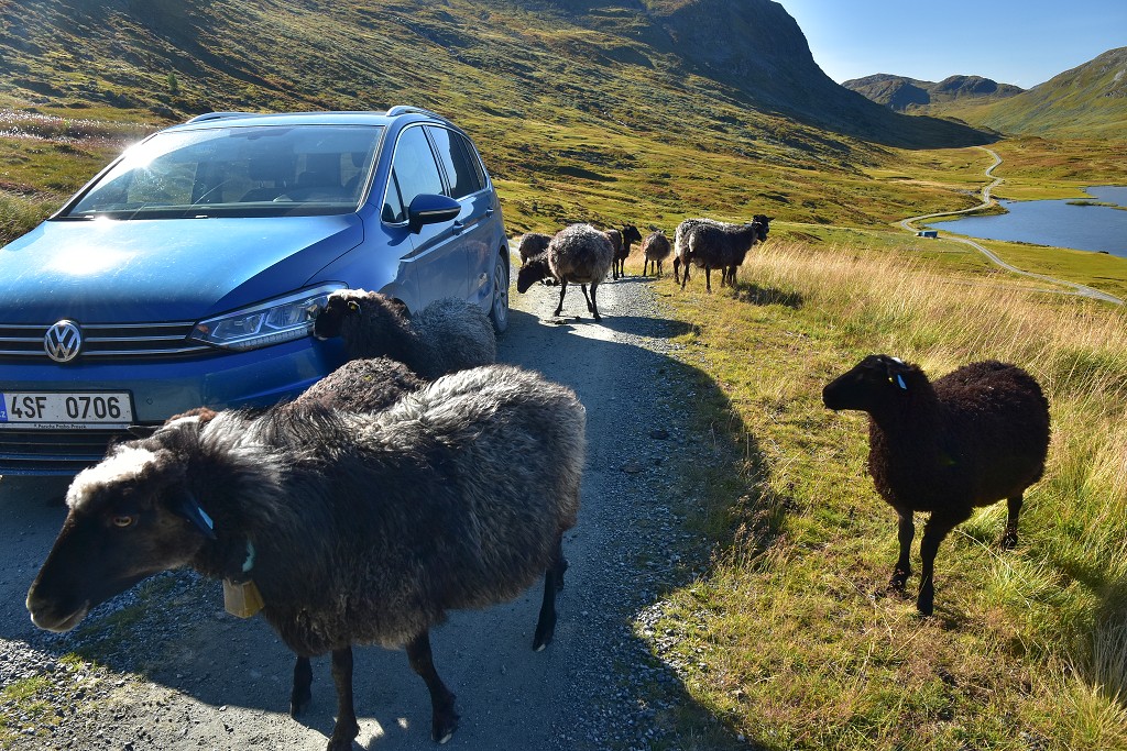 Skandinávie - Øvstedalen, již. od led. Fresvikbreen, Sognefj. 
