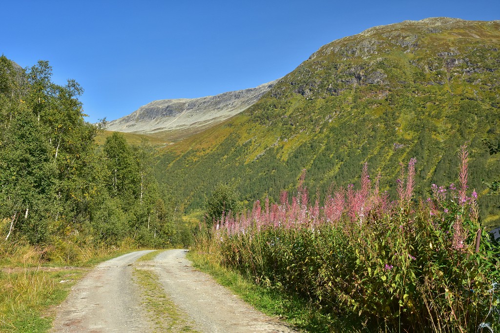 Skandinávie - údolí Jordalen, jižně od Sognefjordu  