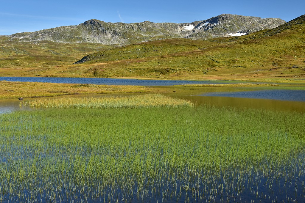 Skandinávie - Vikafjell, již. od SognefjorduVikafjell, již. od Sognefjordu 