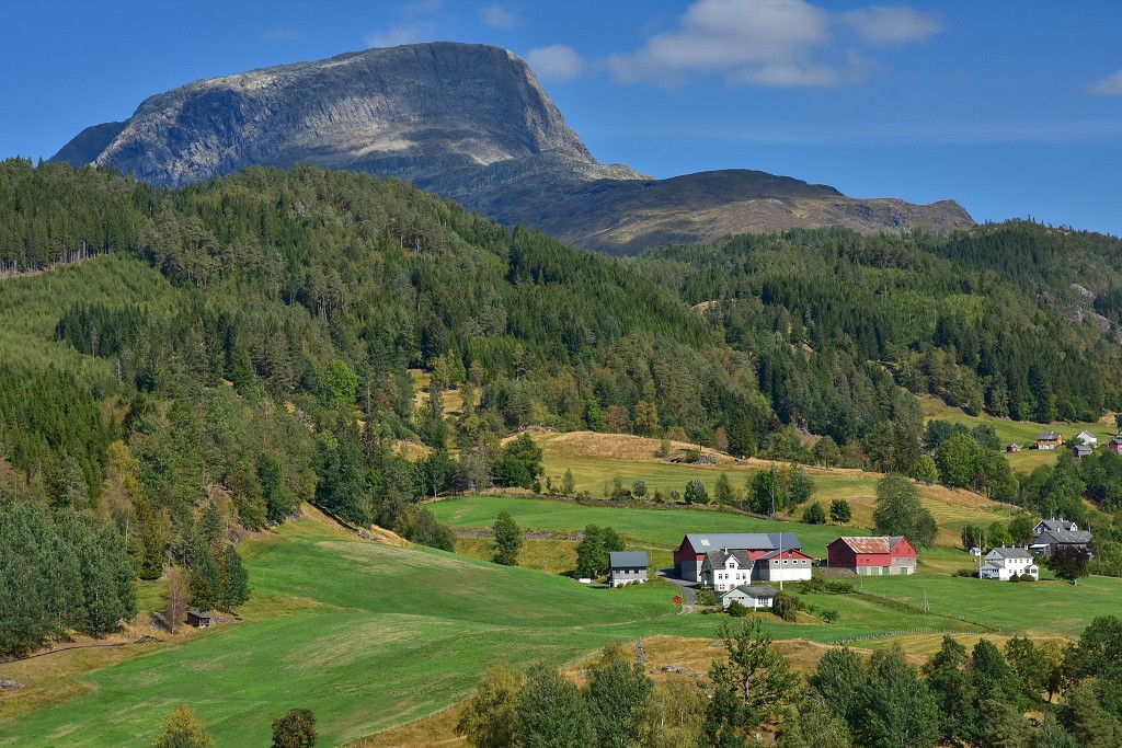 Skandinávie - u Ulviku, Hardangerfjord 