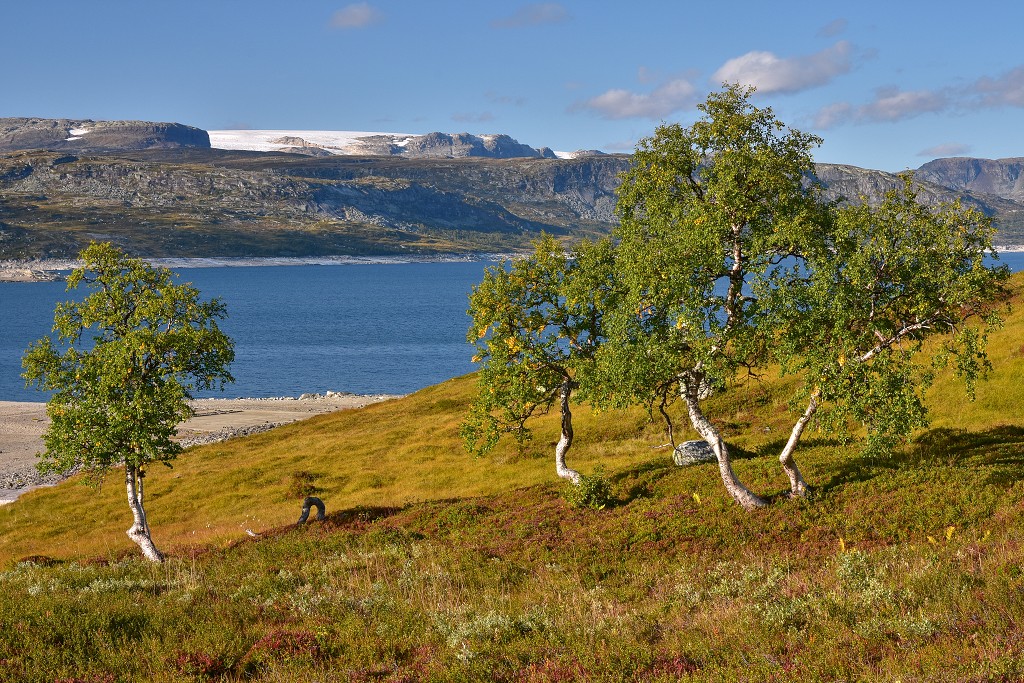 Skandinávie - Hardangervidda u přehr. Sysenvatnet 