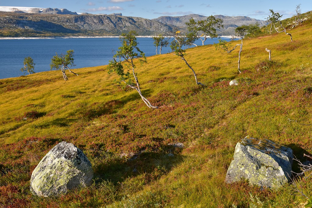 Skandinávie - Hardangervidda u přehr. Sysenvatnet 