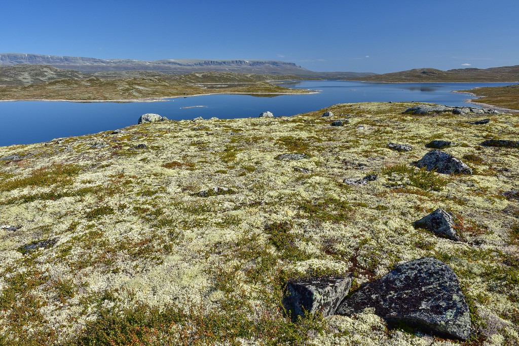 Skandinávie - okolo jez. Storekækkja, Hardangervidda 