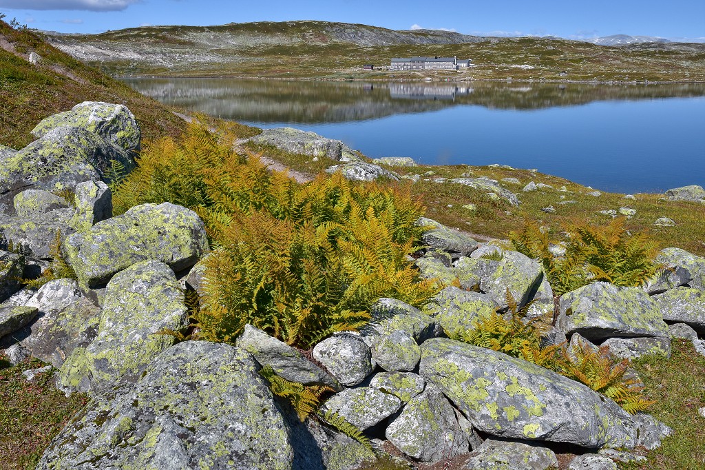Skandinávie - okolo jez. Storekækkja, Hardangervidda 