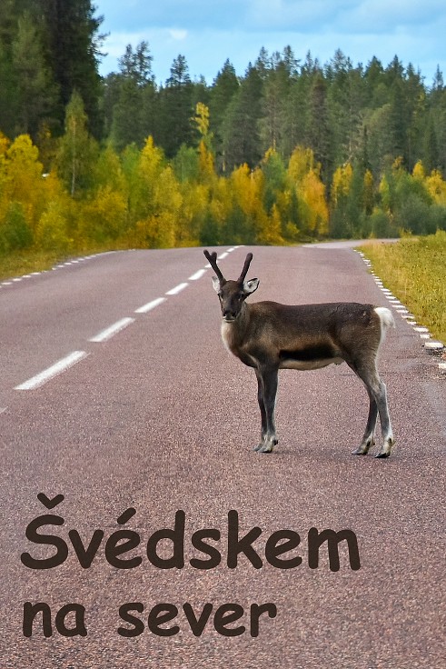 Pustiny mezi městy Jokkmokk a Pajala