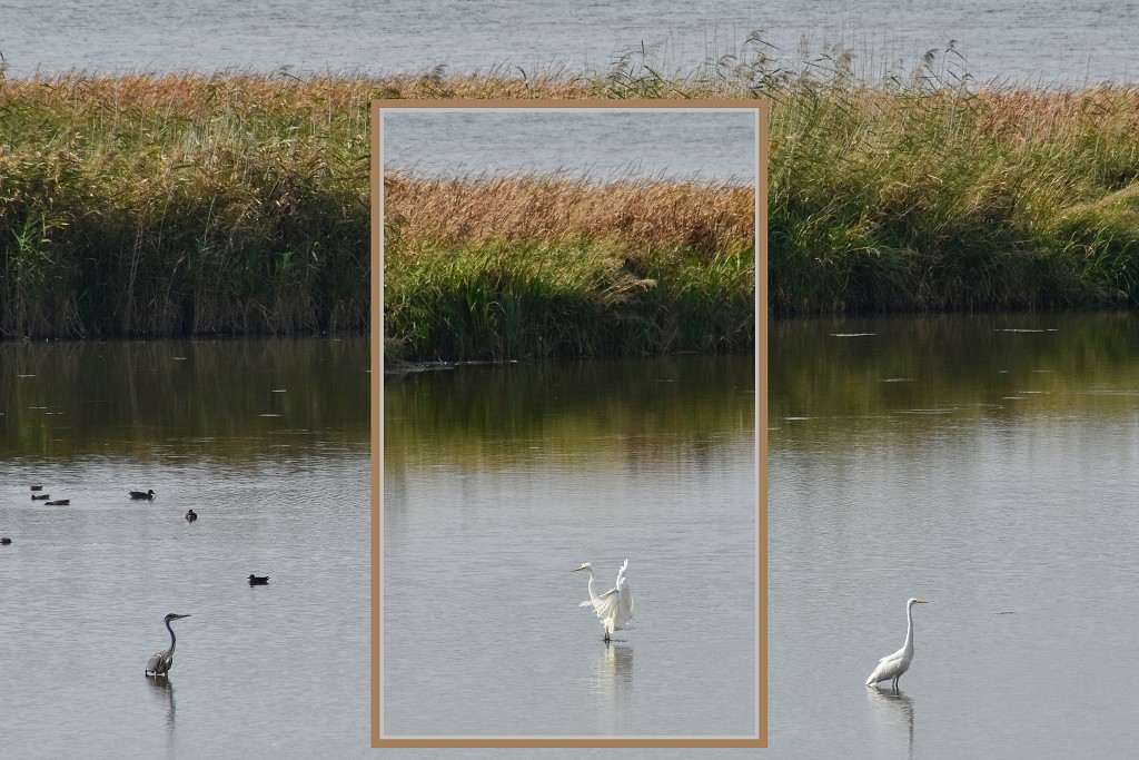 Ptačí jezero Tåkern, u Vadsteny