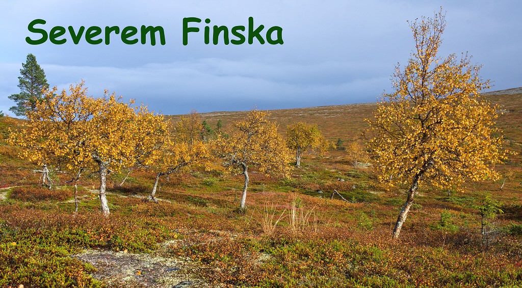 Túra na Palkaskero, n.p. Pallas-Yllästunturi