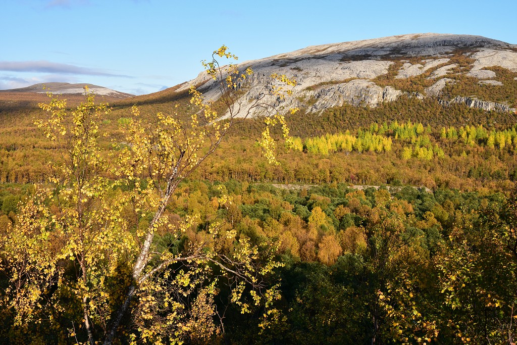 Údolí ř. Børselva, Porsangerfjord