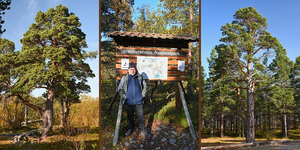 Nejsevernější borový les, n.p. Stabbursdalen