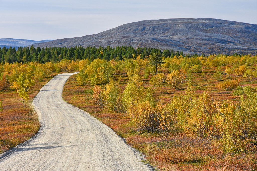 Od Porsangerfjordu k n.p. Stabbursdalen