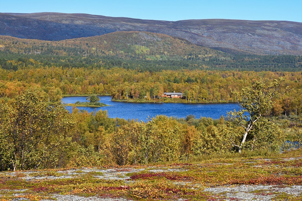 N.p. Stabbursdalen