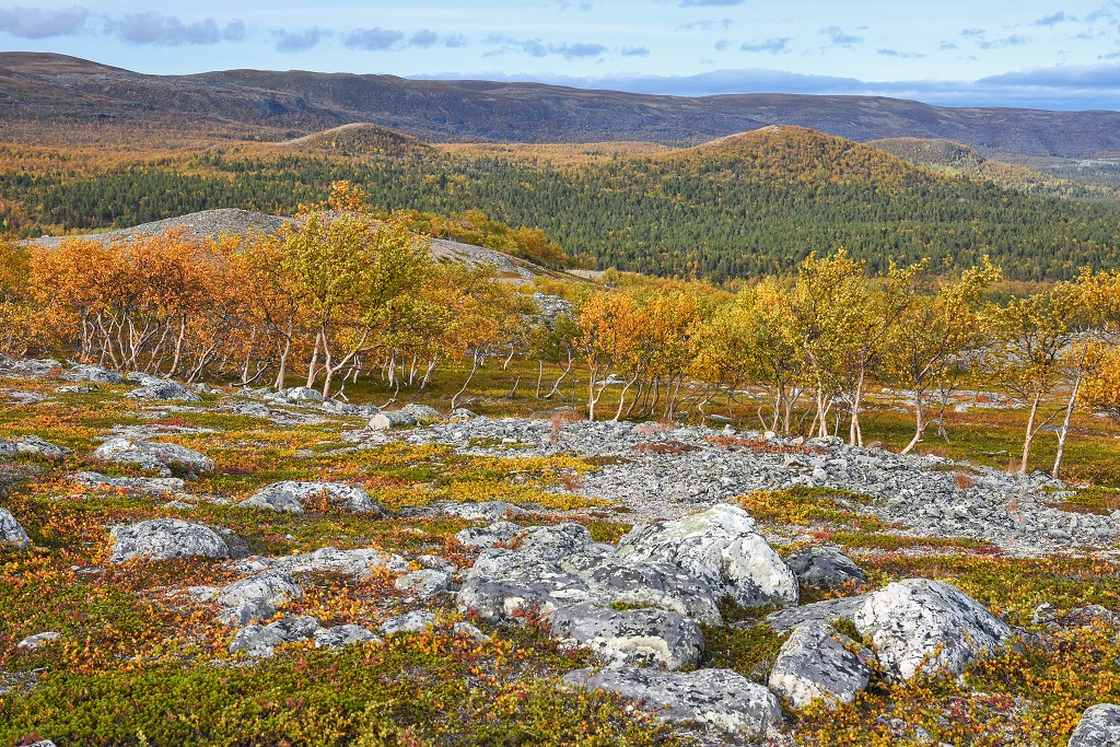 Cestou necestou po n.p. Stabbursdalen