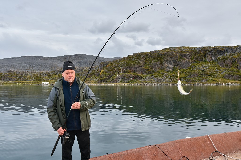 Ves Forsøl, sev. od Hammerfestu