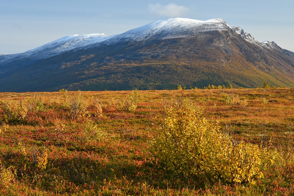 Djupvik, Lyngenfjord