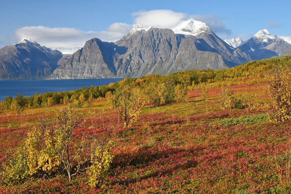 Djupvik, Lyngenfjord