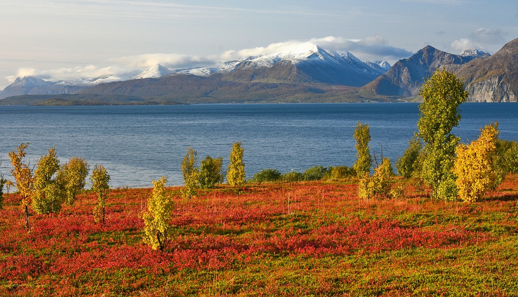 Djupvik, Lyngenfjord