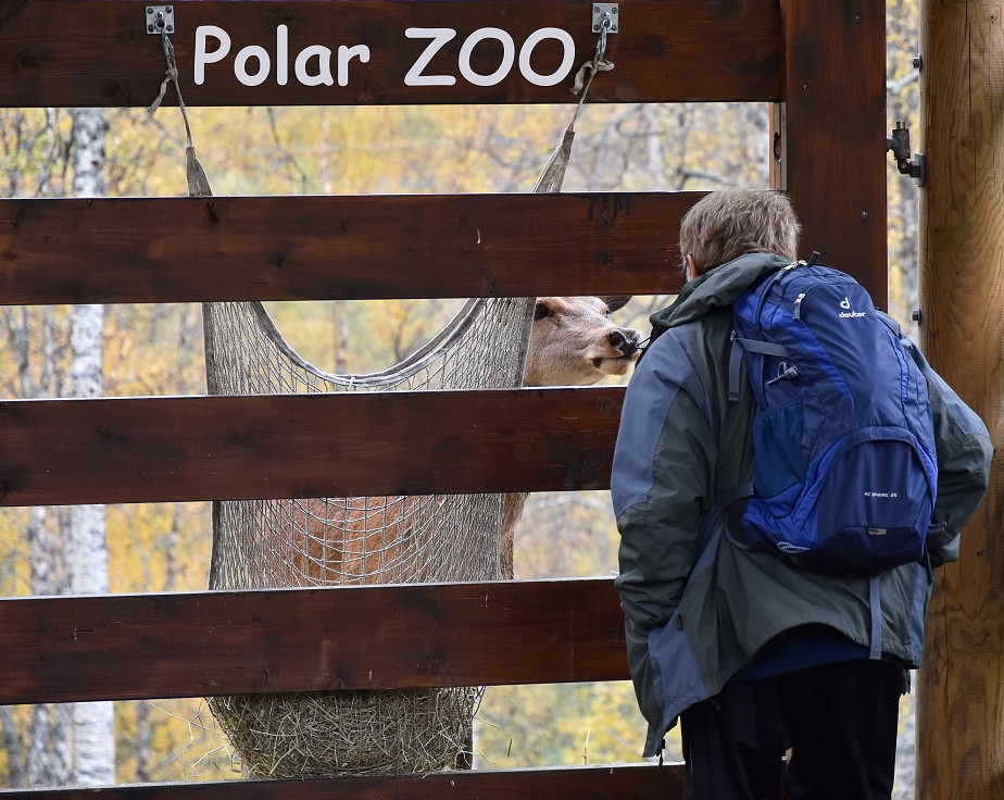 Polar ZOO, u Fossbakenu
