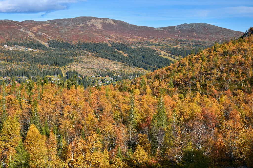 Z Bydalenu na horu Drommen, u Hallenu