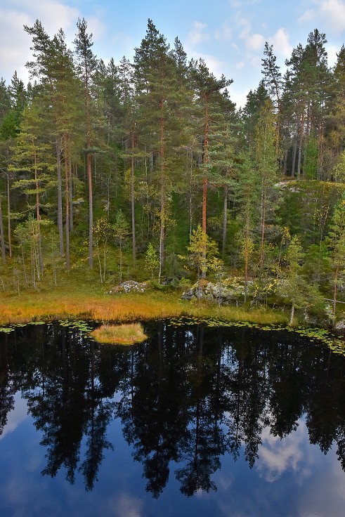 Rez. Sveafallen, Degerfors