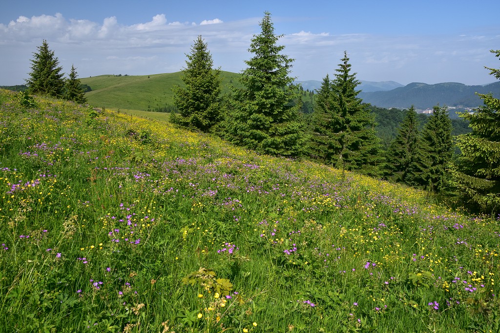 Slovensko - z Hiadeľského sedla na Kečku, Nízké Tatry