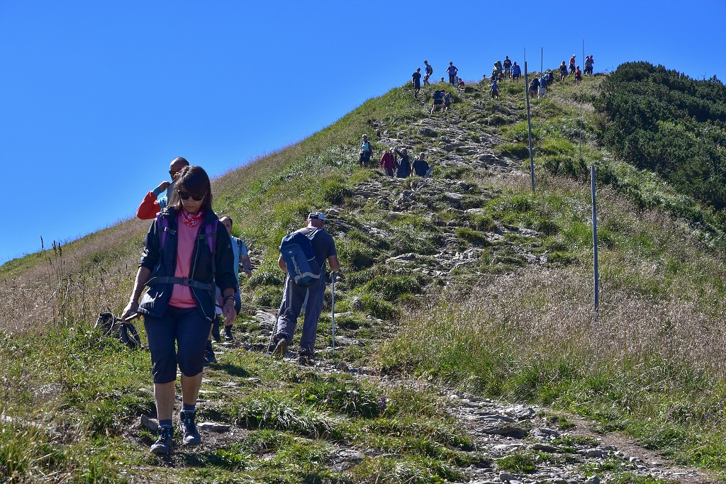 Slovensko - Malá Fatra - hřeben východně od Chlebu
