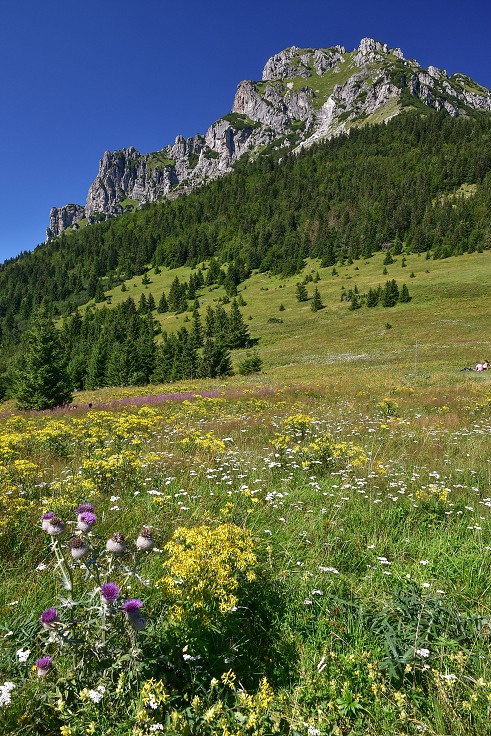Slovensko - M. Fatra - Velký Rozsutec ze sedla Medziholie