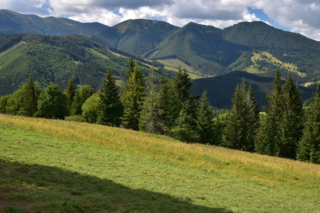 Slovensko - hřeben Malé Fatry ze sedla Vrchpodžiar