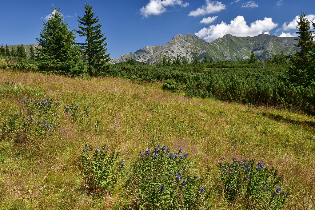 Slovensko - Roháče - z chaty Pod Náružím na Malou kopu