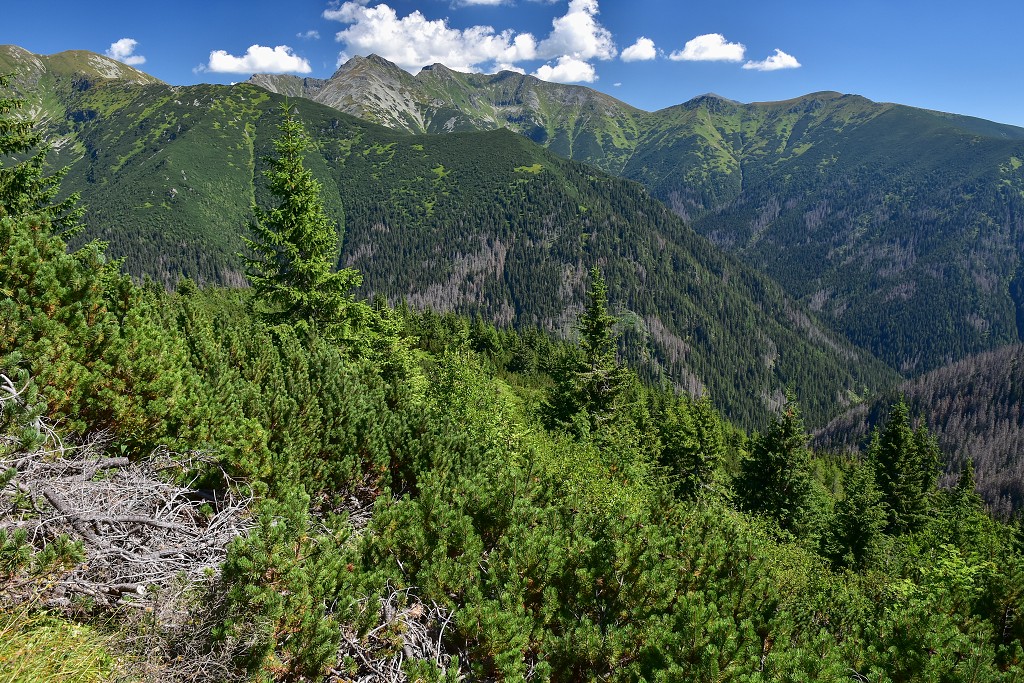 Slovensko - Roháče, hlavní hřeben Salatín-Baníkov z Ostré