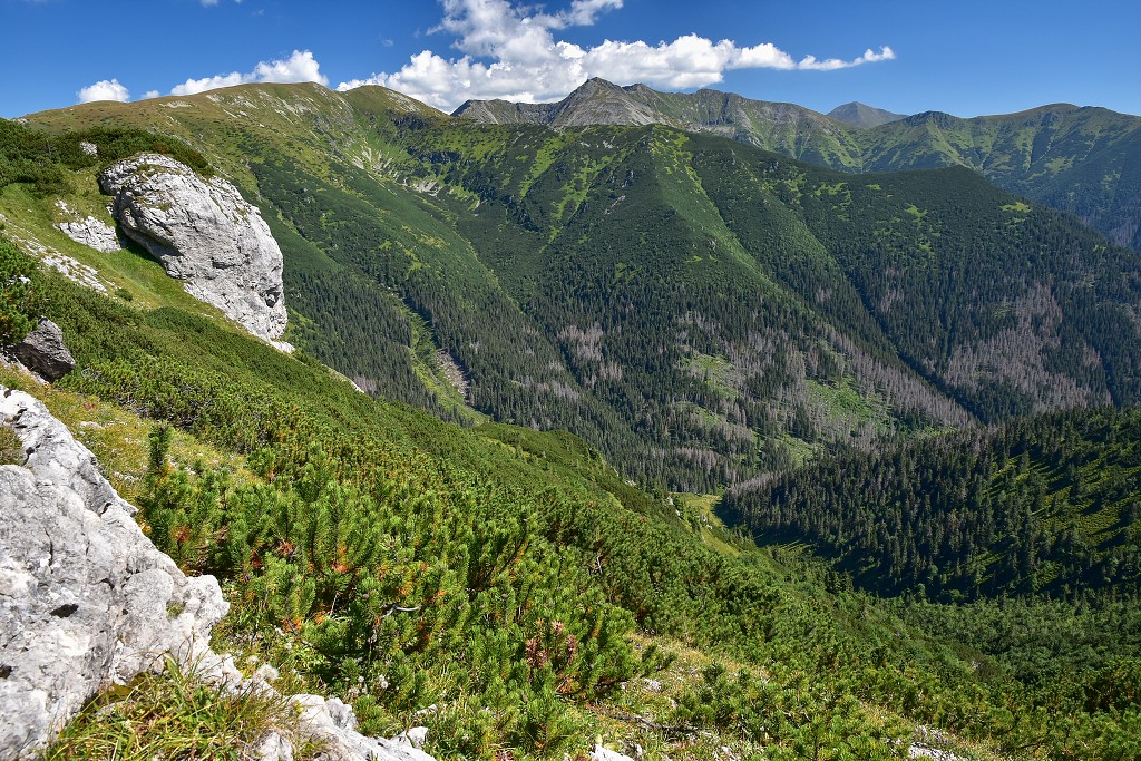 Slovensko - Roháče, hlavní hřeben ze Sivého vrchu