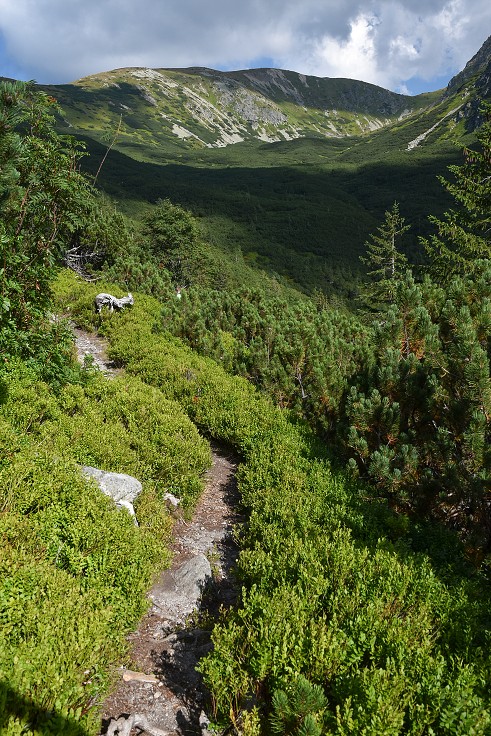 Slovensko - Roháče, ze sedla Pálenica do Bobrovecké doliny