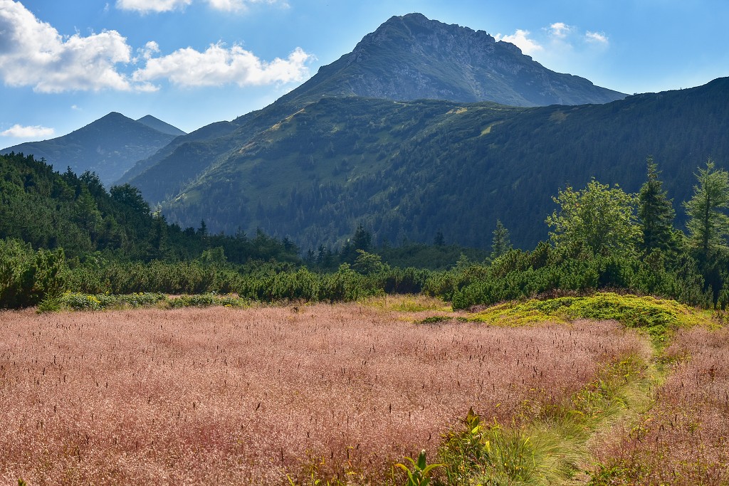 Slovensko - Roháče, Bobrovecká dolina a Sivý vrch