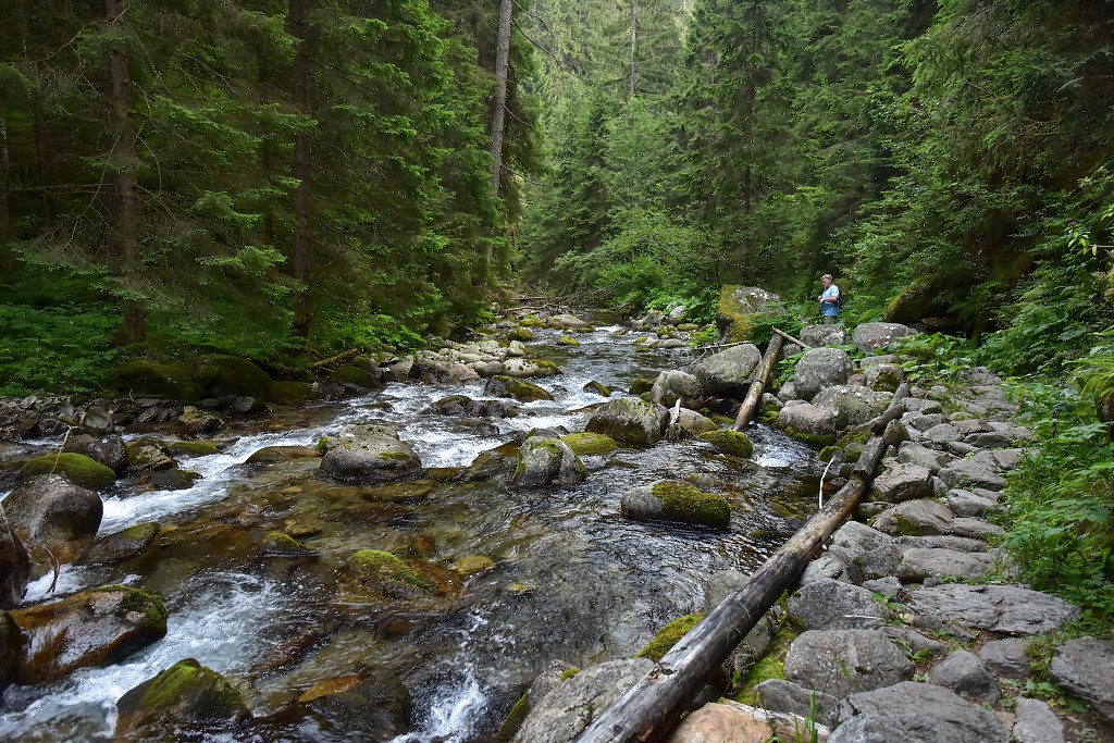 Slovensko - Roháče, Bobrovecká dolina 